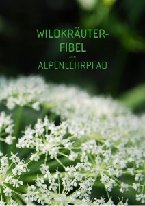 Wildkräuter-Fibel