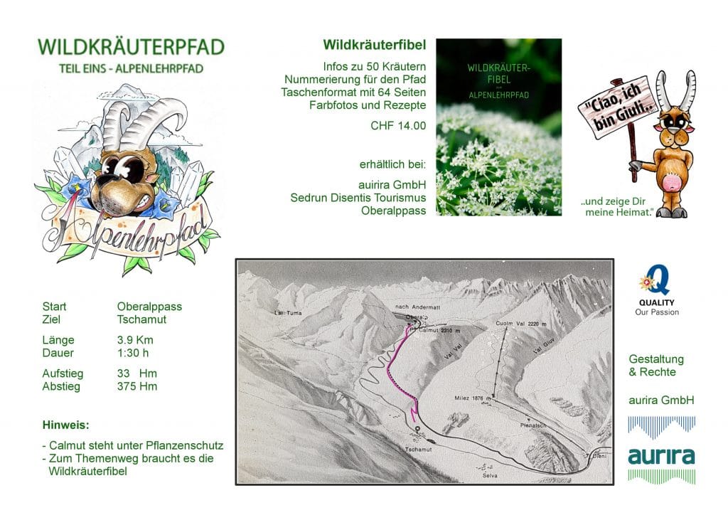Wildkräuter Themenweg zum Alpenlehrpfad